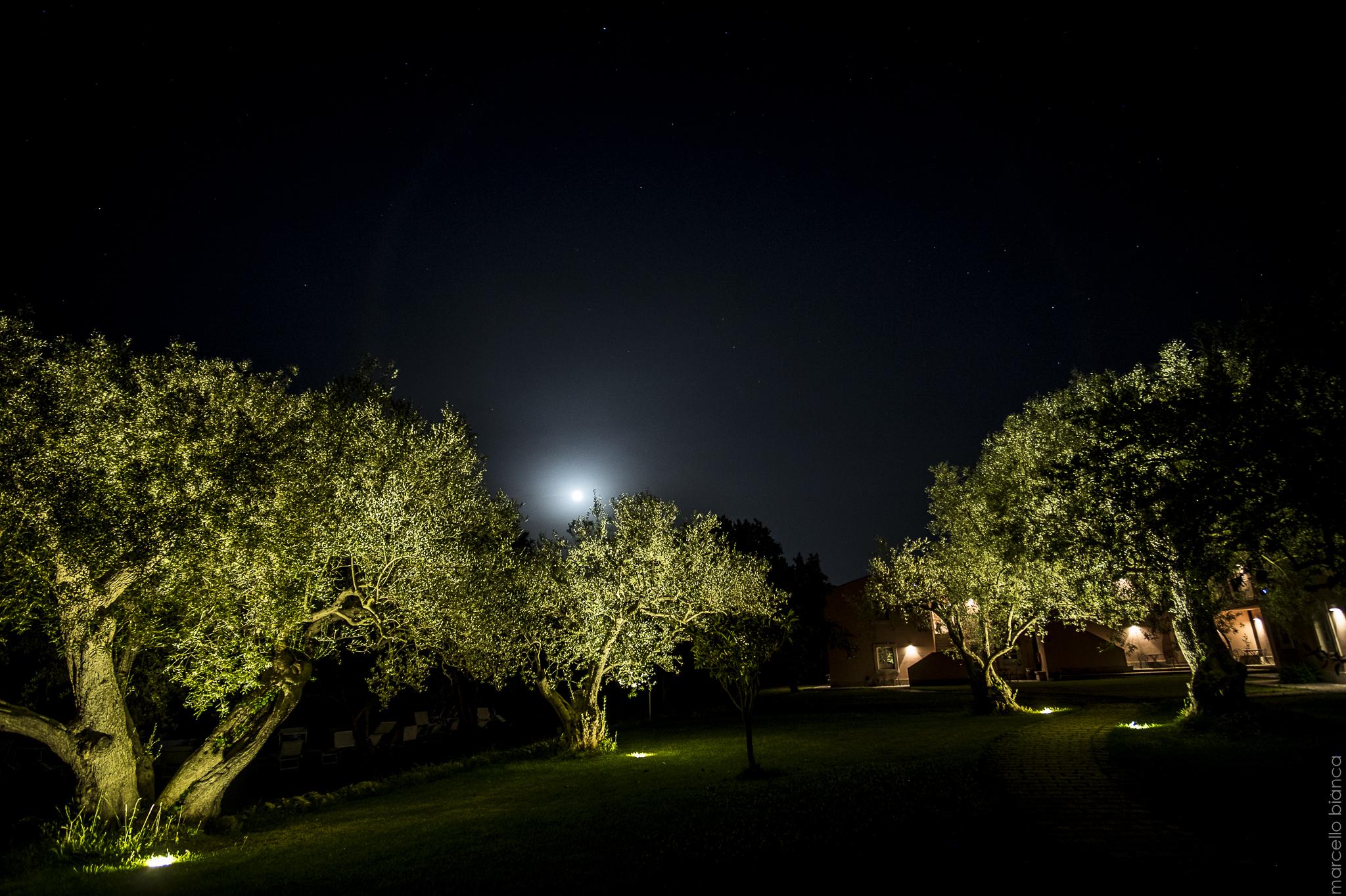 Masseria Degli Ulivi San Corrado di Fuori Esterno foto