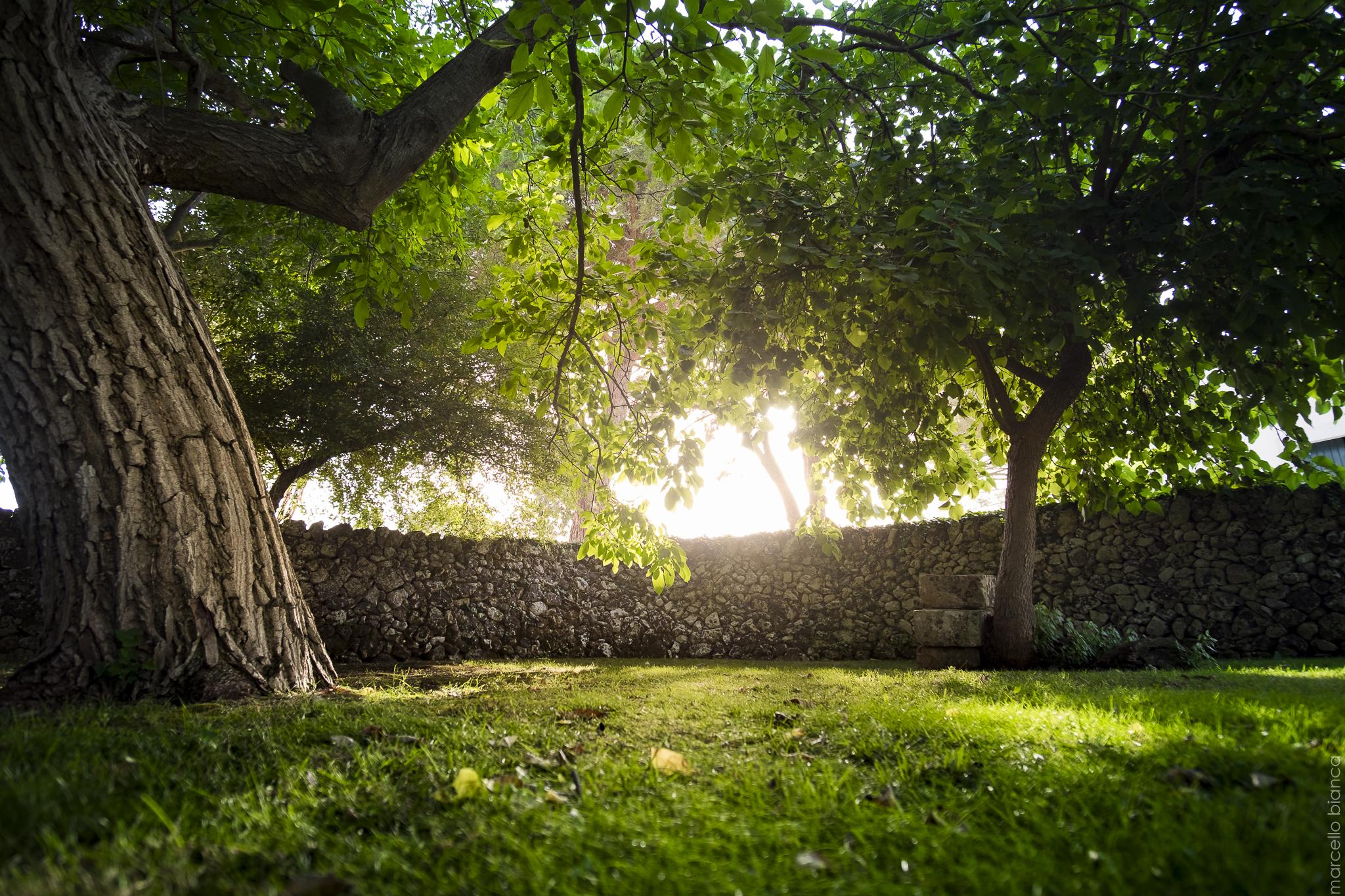 Masseria Degli Ulivi San Corrado di Fuori Esterno foto