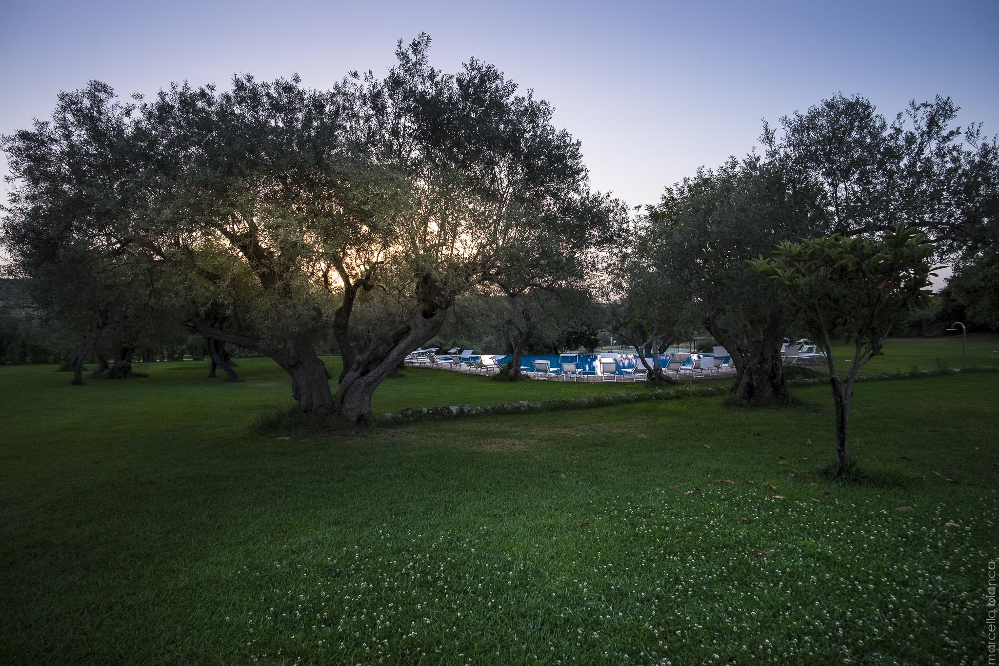 Masseria Degli Ulivi San Corrado di Fuori Esterno foto