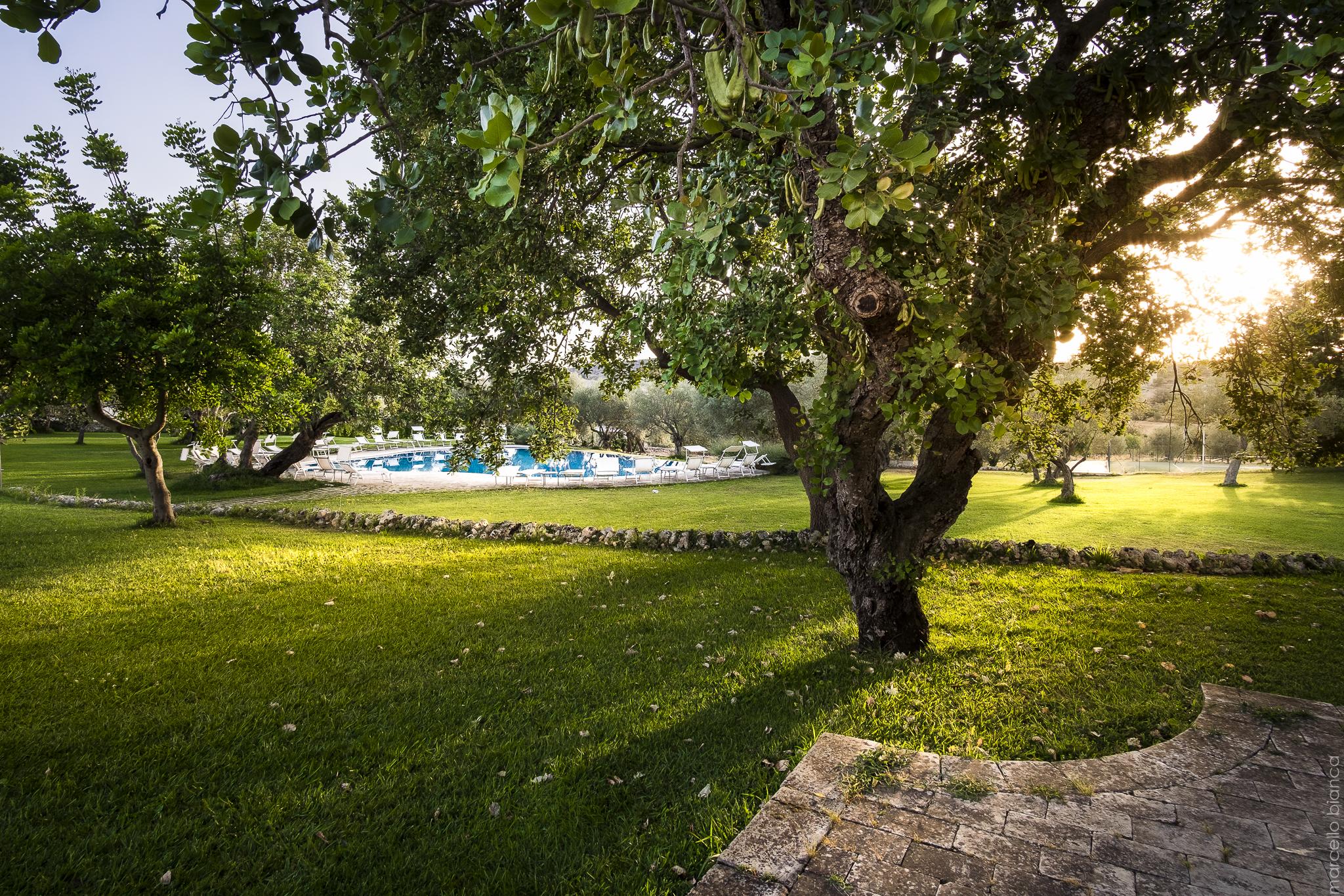 Masseria Degli Ulivi San Corrado di Fuori Esterno foto
