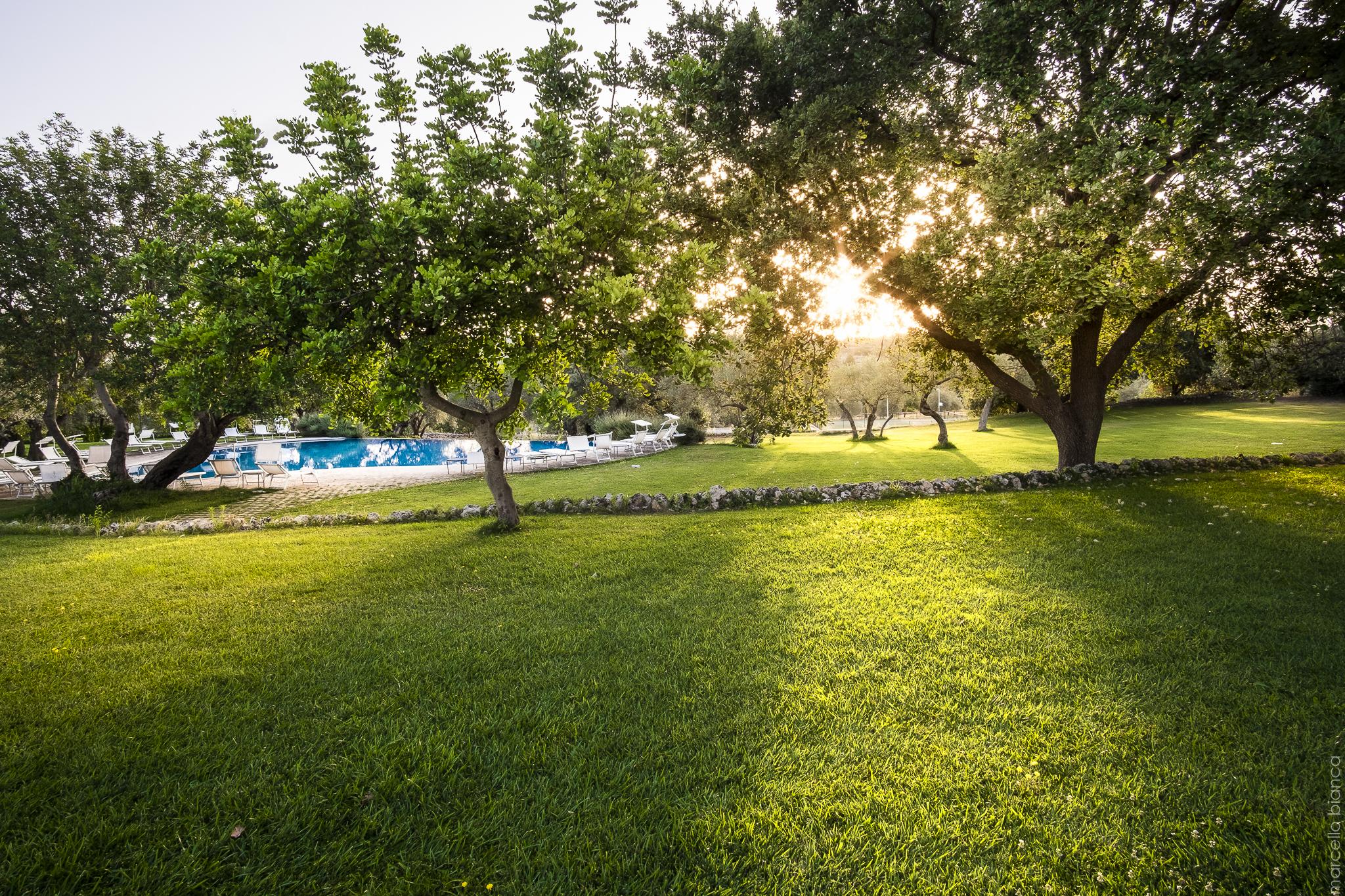 Masseria Degli Ulivi San Corrado di Fuori Esterno foto