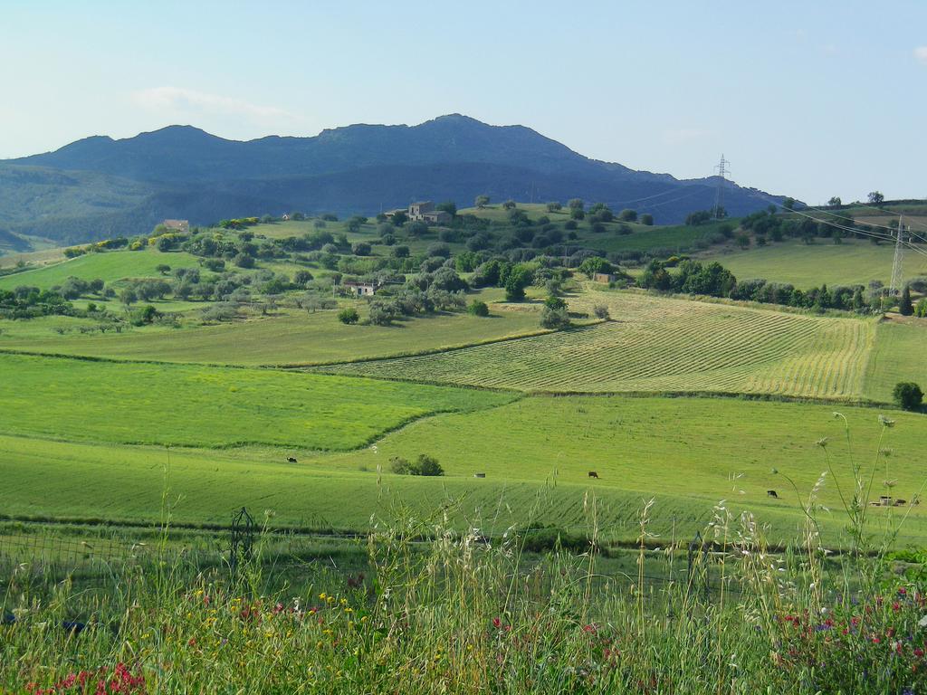 Masseria Degli Ulivi San Corrado di Fuori Esterno foto